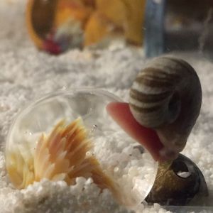 Meet your Posher, Kara